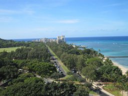 fohawaii 141
